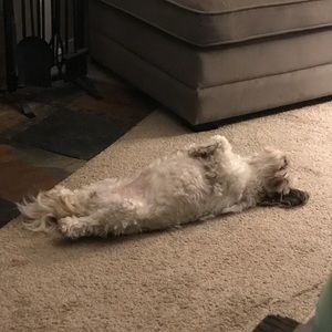 Meet your Posher, Katie